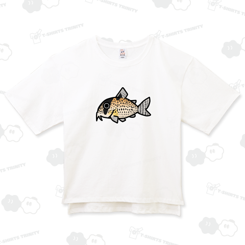 コリドラス・パンク