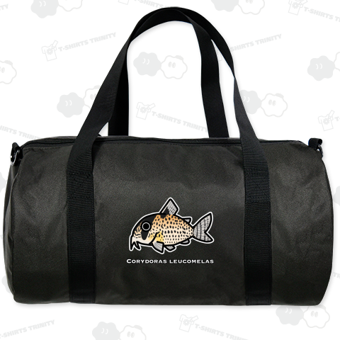 コリドラス・パンク 学名入りVer.