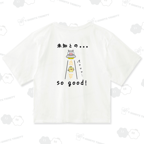 「バックプリント」未知とのSo good! / 未知との遭遇!