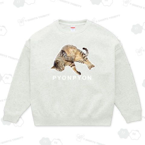 キジトラのぴょんぴょん