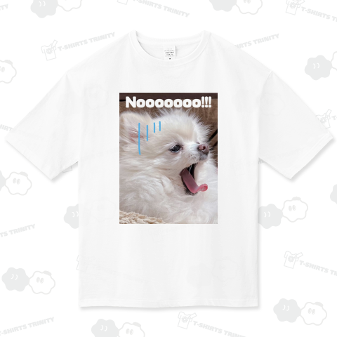 シノンさんの嘆き