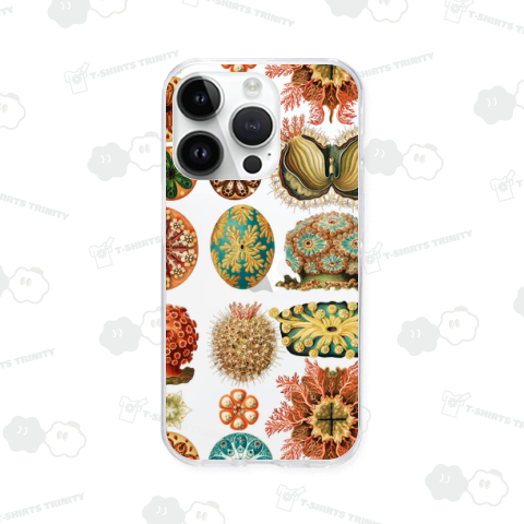 自然の芸術的形態 No.7 ホヤ Ascidiae–Seescheiden エルンスト・ヘッケル