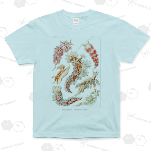 自然の芸術的形態 No.15 ウミウシ Nudibranchia–Nacktkiemen エルンスト・ヘッケル