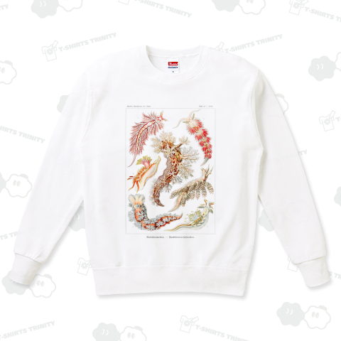 自然の芸術的形態 No.15 ウミウシ Nudibranchia–Nacktkiemen エルンスト・ヘッケル