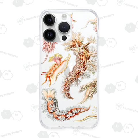 自然の芸術的形態 No.15 ウミウシ Nudibranchia–Nacktkiemen エルンスト・ヘッケル