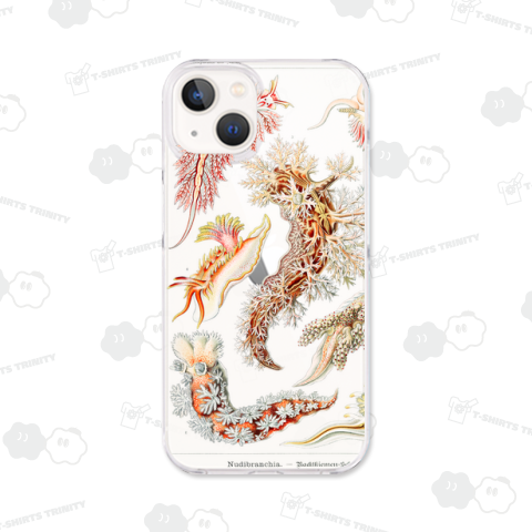 自然の芸術的形態 No.15 ウミウシ Nudibranchia–Nacktkiemen  エルンスト・ヘッケル