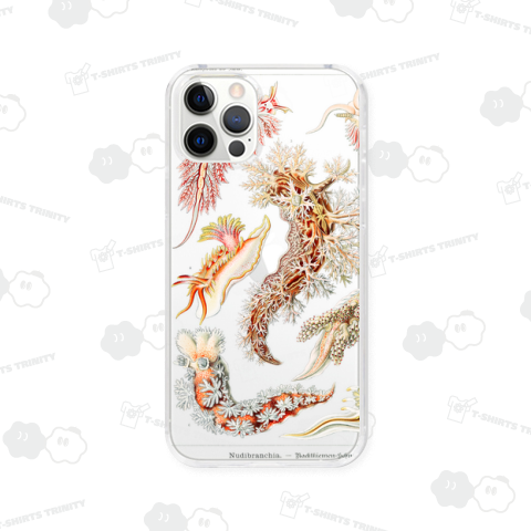 自然の芸術的形態 No.15 ウミウシ Nudibranchia–Nacktkiemen エルンスト・ヘッケル