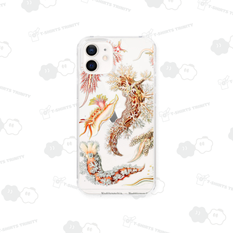 自然の芸術的形態 No.15 ウミウシ Nudibranchia–Nacktkiemen  エルンスト・ヘッケル