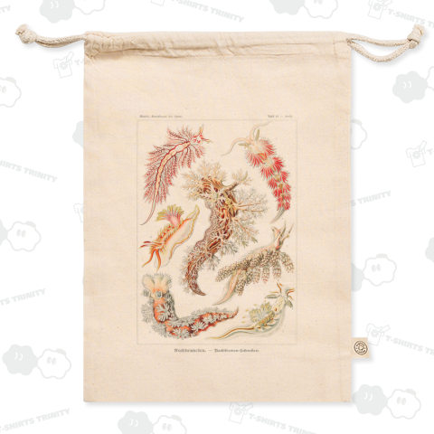 自然の芸術的形態 No.15 ウミウシ Nudibranchia–Nacktkiemen エルンスト・ヘッケル