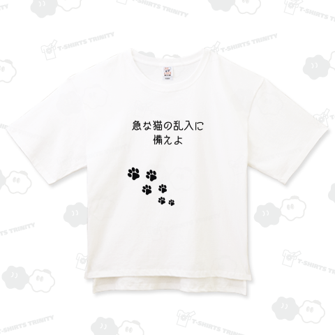 急な猫の乱入に備えよ