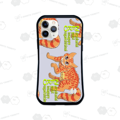 茶トラちゃん驚く!