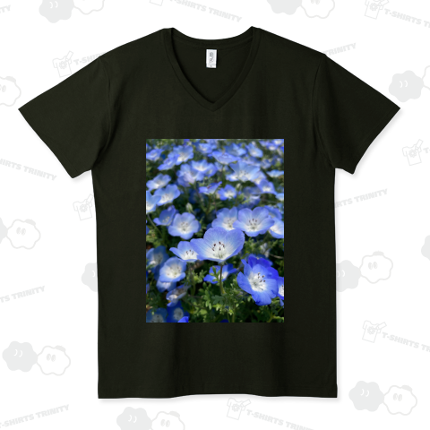 nemophila