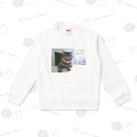 猫は着席する《文字変更可能テンプレート》