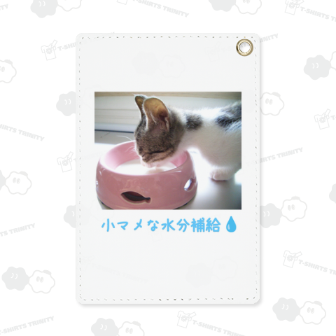 こまめな水分補給を - The Cat who....