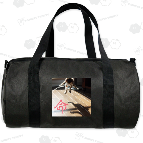 保護猫モモno命 - The Cat who....