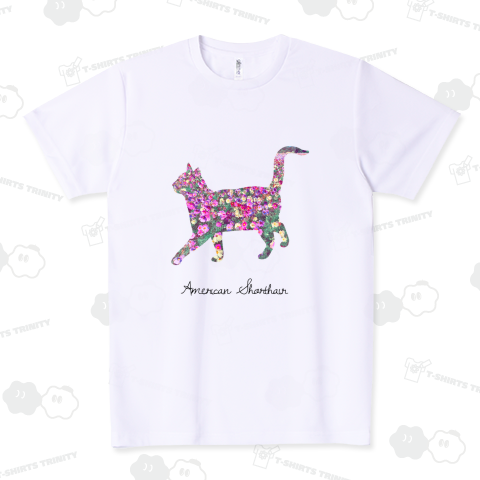 華猫 - アメリカンショートヘア