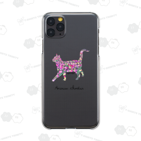 華猫 - アメリカンショートヘア