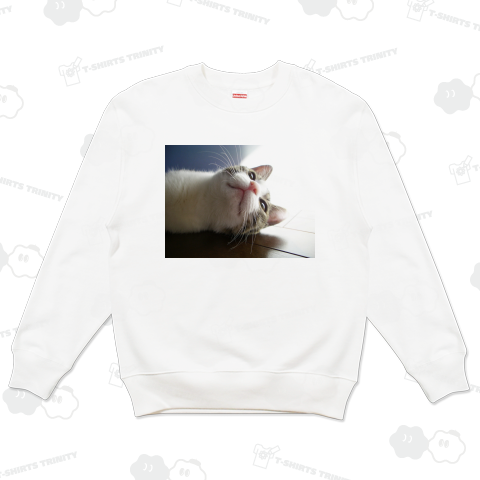 はちわれ子猫 日差し《図案位置 拡大縮小 文字入れ等 カスタマイズ可能》