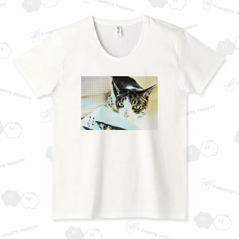 さんま(ポップアート風)《図案位置 拡大縮小 文字入れ等 カスタマイズ可能》