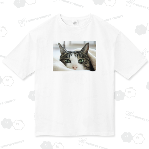 グリーンアイズ《図案位置 拡大縮小 文字入れ等 カスタマイズ可能》