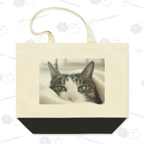 グリーンアイズ《図案位置 拡大縮小 文字入れ等 カスタマイズ可能》