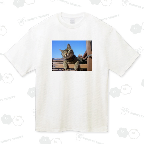 猫は考える《図案位置 拡大縮小 文字入れ等 カスタマイズ可能》