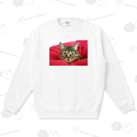 キジトラ猫 - グラビア図案位置 拡大縮小 文字入れ等 カスタマイズ可能》