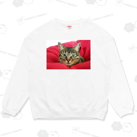 キジトラ猫 - グラビア図案位置 拡大縮小 文字入れ等 カスタマイズ可能》