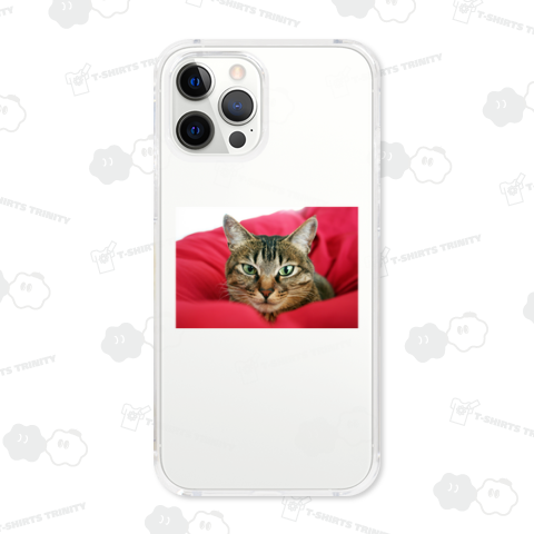 キジトラ猫 - グラビア図案位置 拡大縮小 文字入れ等 カスタマイズ可能》