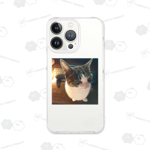 しろふわもこ - 猫グラビア《図案位置 拡大縮小 文字入れ等 カスタマイズ可能》