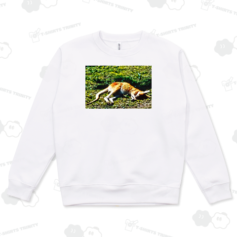 お昼寝カンガルー - POP《図案位置 拡大縮小 文字入れ等 カスタマイズ可能》