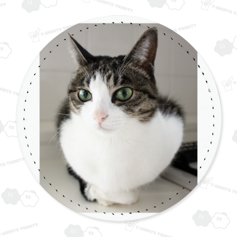 猫球《図案位置 拡大縮小 文字入れ等 カスタマイズ可能》