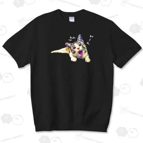 ショックをうける猫 - 239221POP《図案位置 拡大縮小 文字入れ等カスタマイズ可能》