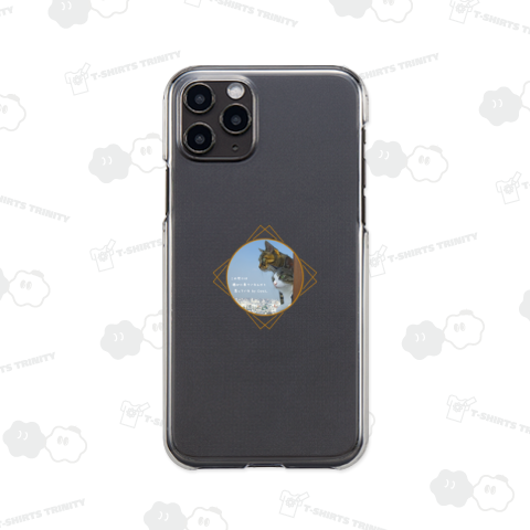 青空 Cats II - 写真《図案位置 拡大縮小 文字入れ等 カスタマイズ可能》