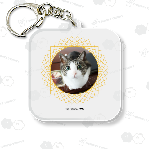 エメラルドアイズ III 231017-1P《図案位置 拡大縮小 文字入れ等 カスタマイズ可能》