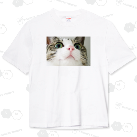 Cats Eyes《図案位置 拡大縮小 文字入れ等 カスタマイズ可能》