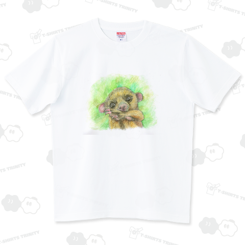 キンカジュー①