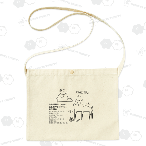 美脚ねこの基本情報