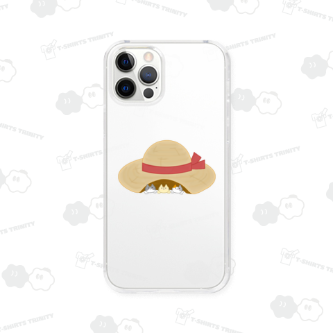 にゃんこ×麦わら帽子