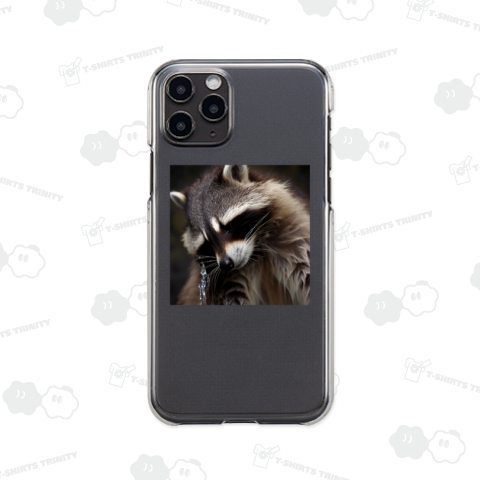 Raccoons washing their heads(頭を洗うアライグマ)