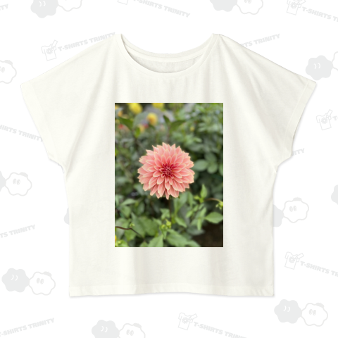 淡いピンクのダリア