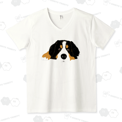 綺麗め♡バーニーズマウンテンドッグ