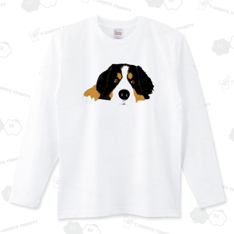 綺麗め♡バーニーズマウンテンドッグ