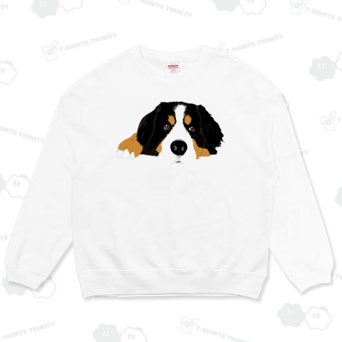 綺麗め♡バーニーズマウンテンドッグ