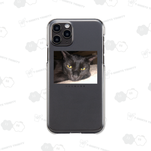 できる猫の憂鬱 黒猫