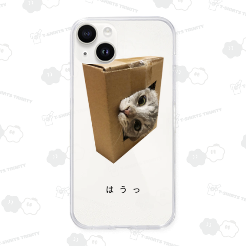 ガン見猫<灰猫>