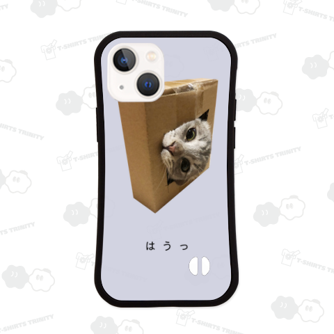 ガン見猫<灰猫>