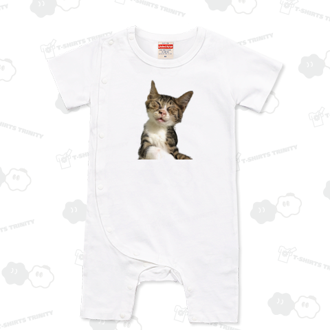 幸猫<キジトラ>