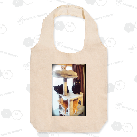 黒猫1号2号キスケカイ