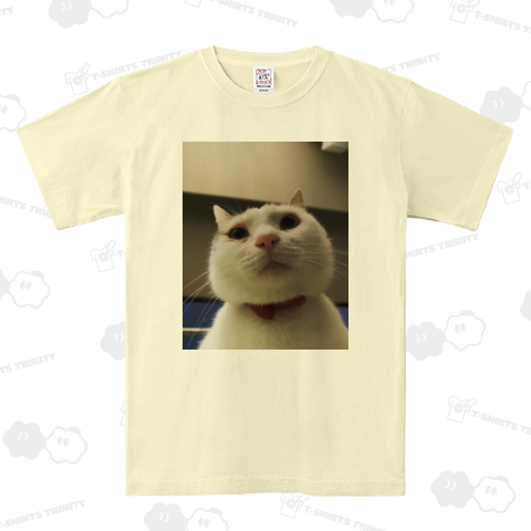 保護猫ぽーちゃん